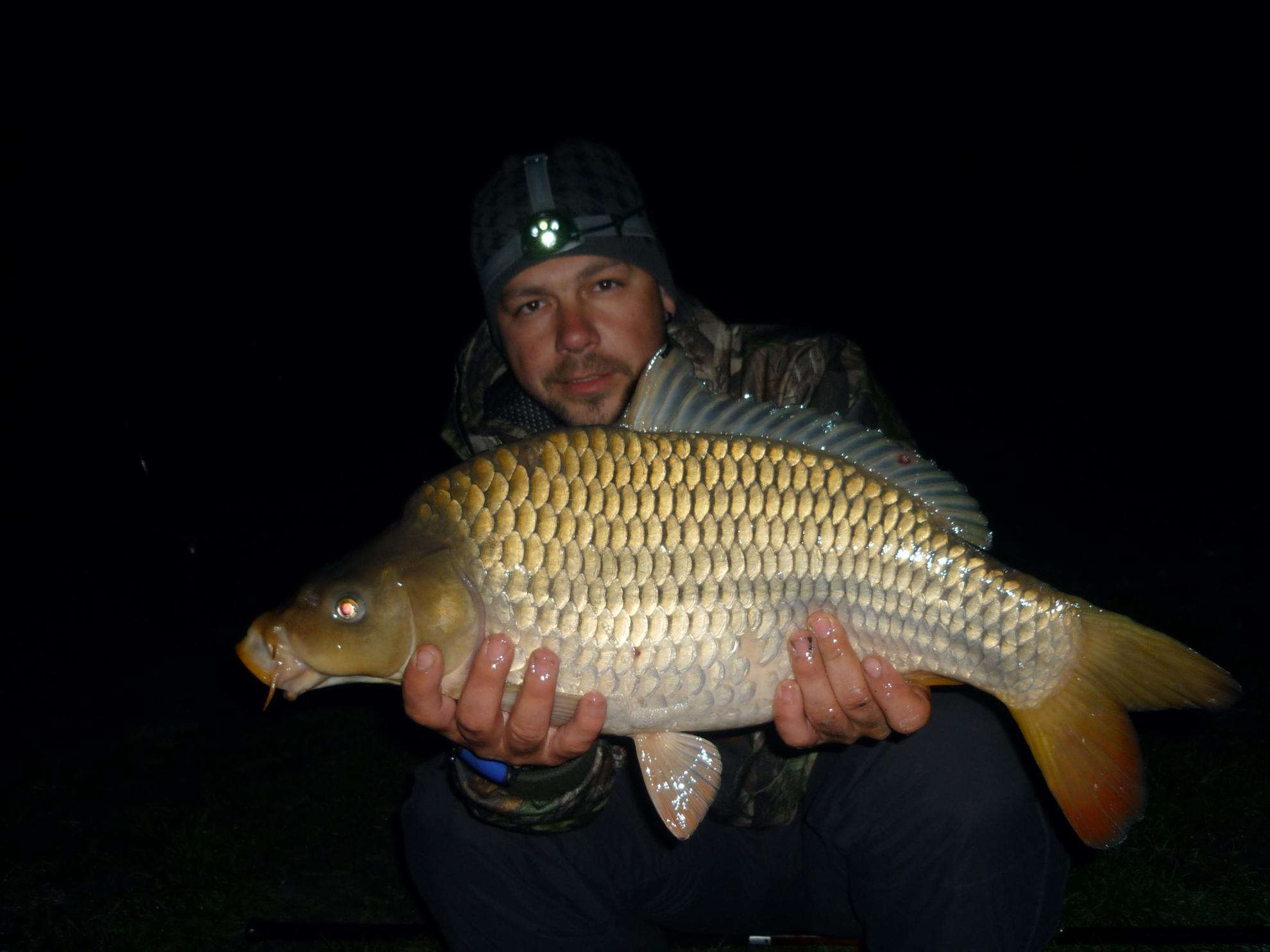 Stejeris 2011 - p1010964.JPG